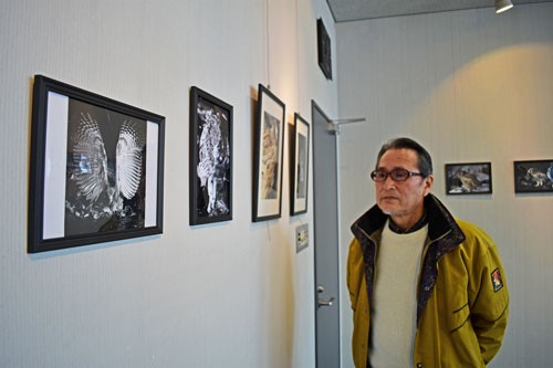 シマフクロウ生き生き、朝鳥さんが写真展(2021-03-03)