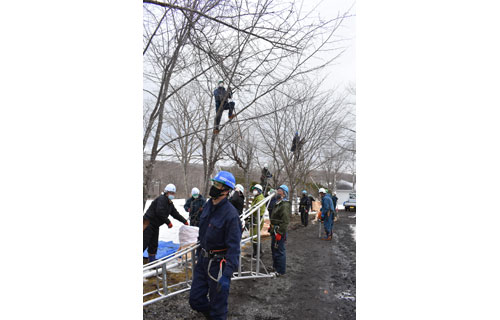 動物園の桜、てんぐ巣病から守れ 造園組合が防除奉仕(2021-03-22)
