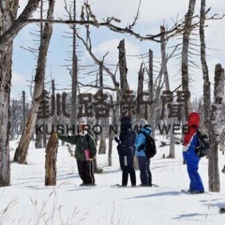 「ポンニクルの森」のツアー人気(2021-03-06)