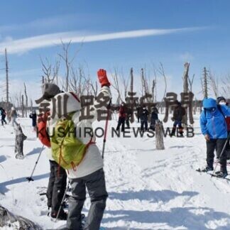 「ポンニクルの森」のツアー人気_1(2021-03-06)