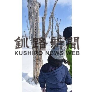 「ポンニクルの森」のツアー人気_2(2021-03-06)