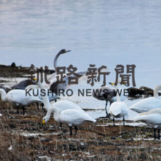 ３月１４日にネイチャーセンター講座(2021-03-13)