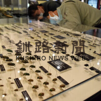 博物館「釧路の昆虫」展示一部更新　大型甲虫中心に紹介(2021-04-01)