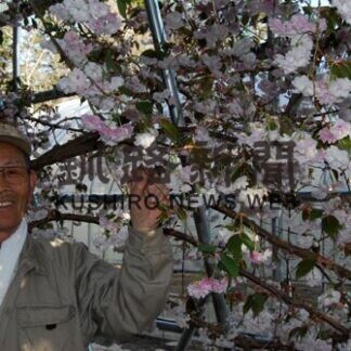 厚岸の桜守・石郷勝政さん死去　関係者ら惜しむ声(2021-03-06)