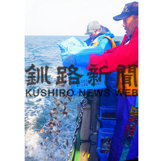 新漁場ホタテ 種苗購入、ＣＦで募集　根室市方針(2021-03-17)