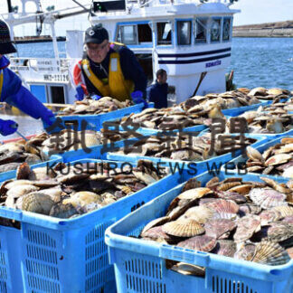 根室湾春ホタテ漁解禁　新・再生漁場、初の本格操業(2021-04-02)