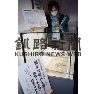 市立博物館で貴重な「ケンザンデンダ」標本展示(2021-04-07)