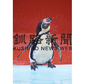 春の日差しにほのぼの_5(2021-04-24)