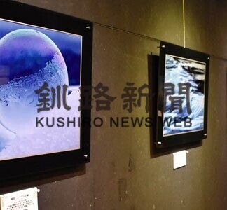 道東の自然活写、渡邉さんが作品展(2021-04-04)