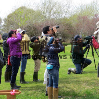 毎月第２日曜日に初心者向け探鳥会(2021-04-10)