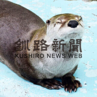 春の日差しにほのぼの_2(2021-04-24)