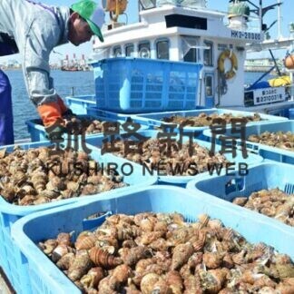 春呼ぶツブかご漁　釧路市漁協、初日水揚げ２割増(2021-04-07)