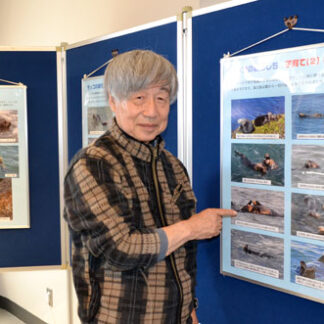 霧多布のラッコ　パネルで紹介(2021-04-27)