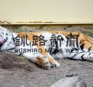 春の日差しにほのぼの(2021-04-24)