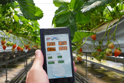 第2部1次産業編④ 夕緋 三木克敏代表取締役社長、釧路市北斗2(2021-05-04)