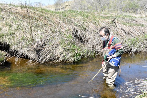 イトウの遡上環境良好 守る会が矢臼別のダム現地調査(2021-05-26)