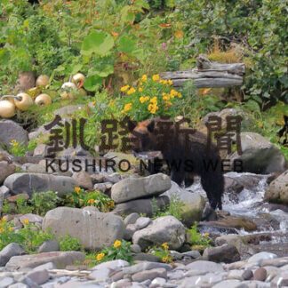 知床羅臼・フォトコン 受賞作品㊦_1(2021-05-09)