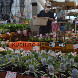 花々１００種、心癒やして　パープルが園芸市(2021-05-14)