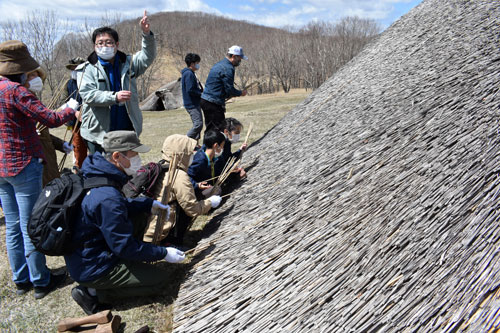 GW 各地で楽しむ ヨシで屋根ふき体験、北斗遺跡竪穴住居(2021-05-02)
