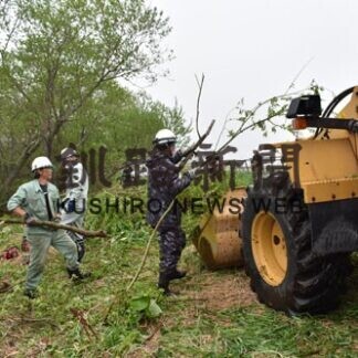 牧場周辺で雑木整理(2021-05-26)