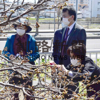 サクラ開花は週明け？　市など今季観測開始(2021-05-07)