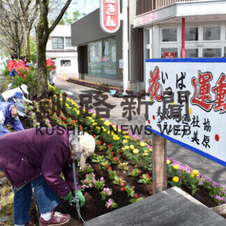 コロナ禍癒やす花壇に(2021-05-31)