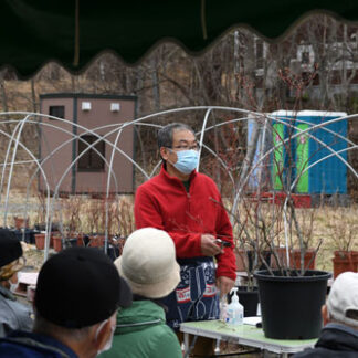 ブルーベリー栽培を解説(2021-05-08)