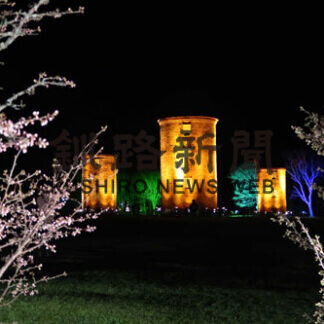 サクラの終着地　見頃(2021-05-13)