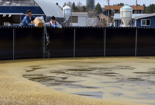 第2部1次産業編② 韮澤牧場、標津町川北_1(2021-05-02)