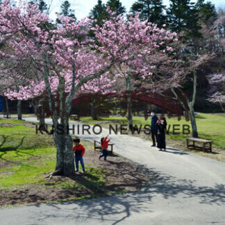 子野日公園は３～５分咲き、あす以降見頃に(2021-05-09)