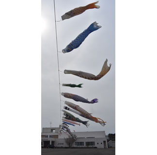 こいのぼり３０匹浜風に乗って泳ぐ　住民寄贈　(2021-05-02)