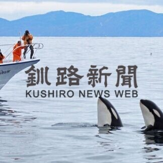 知床羅臼写真コンテスト作品紹介(2021-05-05)