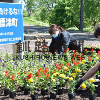 ４種の花で町に彩り(2021-06-16)