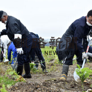 トドマツの苗木２００本植樹(2021-07-01)