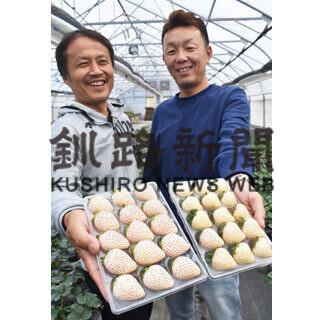 白イチゴ、中標津の名産に　涼しさ生かし通年収穫(2021-06-13)