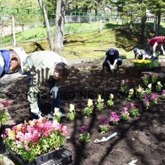 動物園に色とりどりの花植栽「心癒やされて」(2021-06-08)