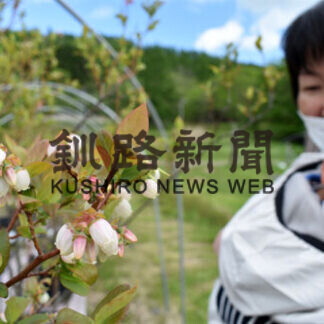 鮮やかなブルーベリーの花が満開(2021-06-04)