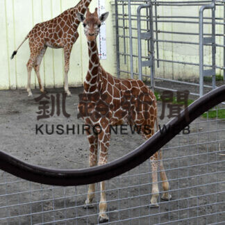 キリン獣舎整備に支援を　ＣＦ１５％にとどまる(2021-06-10)