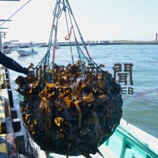 海面漁業 釧路0.8％増、根室17％減　20年生産量、道内は1.4％増(2021-06-08)