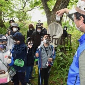 春採湖の昆虫しらべてみよう　釧路市立博物館が自然観察会(2021-06-13)