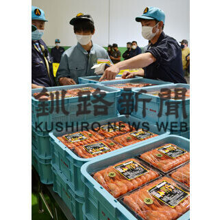 ホッカイシマエビ初競り(2021-06-15)