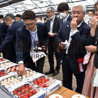 「北海道ゆきいちご」お披露目　独自技術で通年出荷_1(2021-07-08)