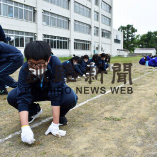 中高合同で校庭の石拾いと草取り(2021-07-07)