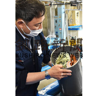 ヤナギダコ５６匹産卵確認　増殖研究、放流事業にも期待(2021-07-30)