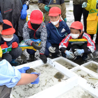 地引き網使い磯採集(2021-07-17)