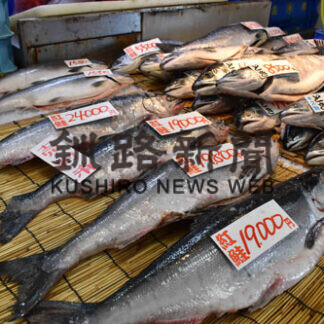 試験操業競り、ベニザケ１㌔８１００円(2021-07-10)