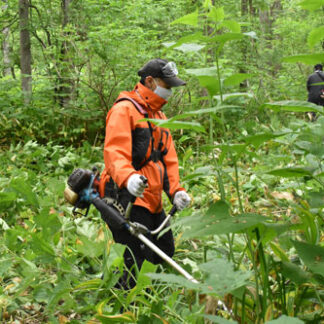 川北連合町内会が公園のクマ対策に倒木撤去と草刈り(2021-07-03)