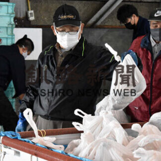 標津漁協 ホタテ無償配布(2021-07-11)