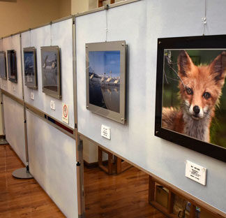 道東の美しい風景や動物切り取る　渡邉さんの写真展(2021-07-03)