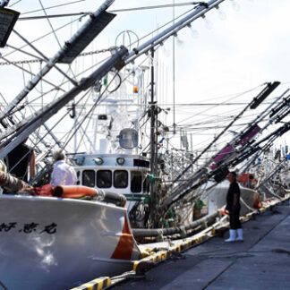 小型船は１０日に出漁(2021-07-31)